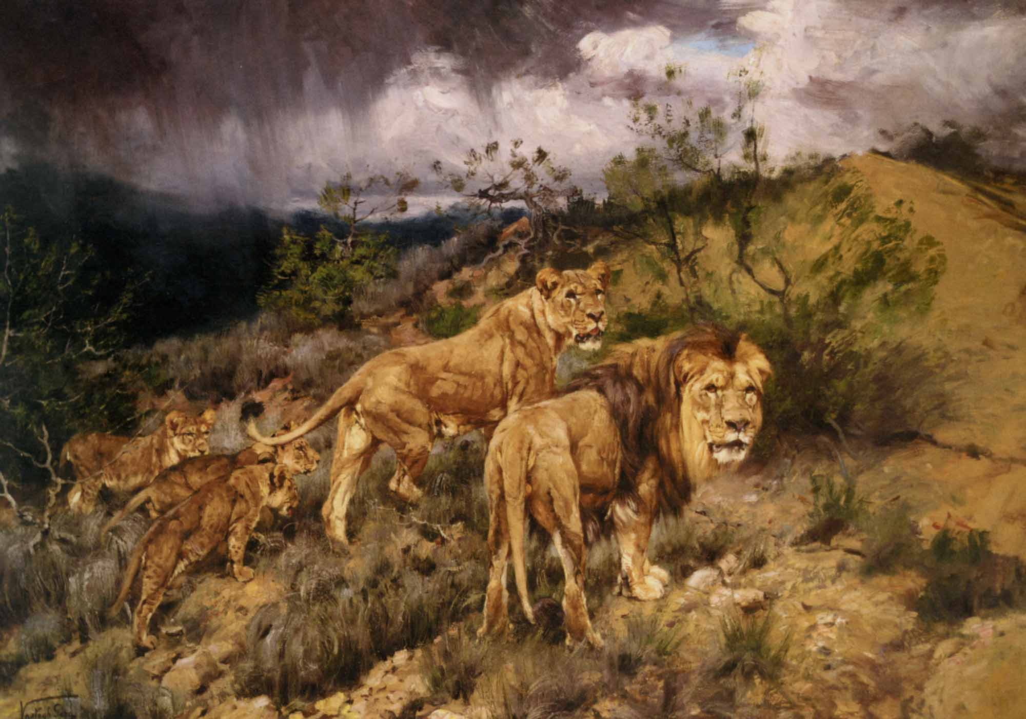 A Family of Lions